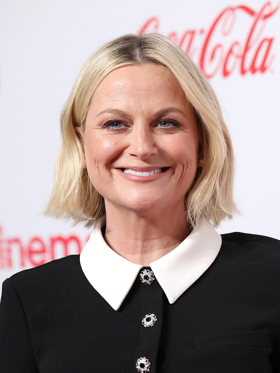 Amy Poehler's Strict Parenting: Inside Her 